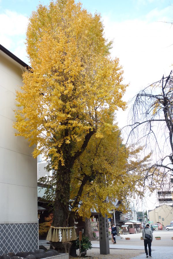 福岡 櫛田神社のパワースポットまとめ 恋愛に効く縁結びスポットも プルメリアの家