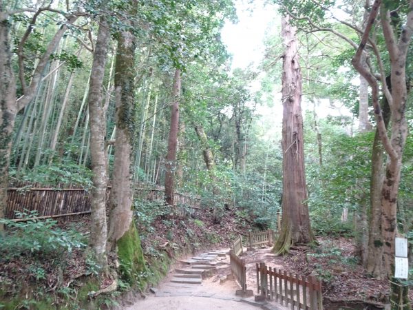 島根 八重垣神社は縁結びの聖地 鏡の池占いとパワースポットで良縁成就しよう プルメリアわーるど